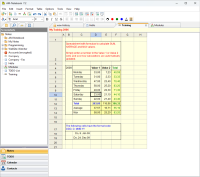 Spreadsheet with formulas